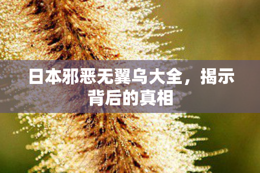 日本邪恶无翼乌大全图片