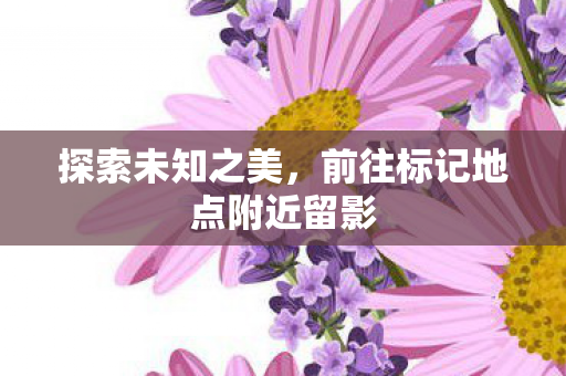 前往标记地点附近留影图片