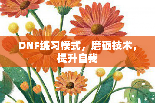DNF练习模式图片