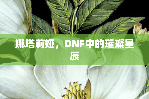 DNF中的璀璨星辰图片