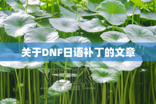 关于DNF日语补丁的文章图片