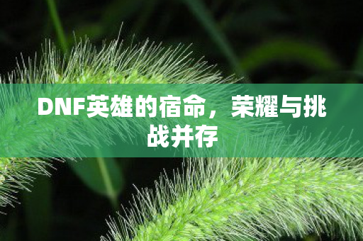 DNF英雄的宿命图片