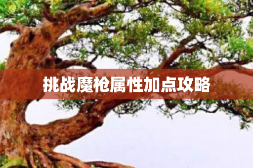 挑战魔枪属性加点攻略图片