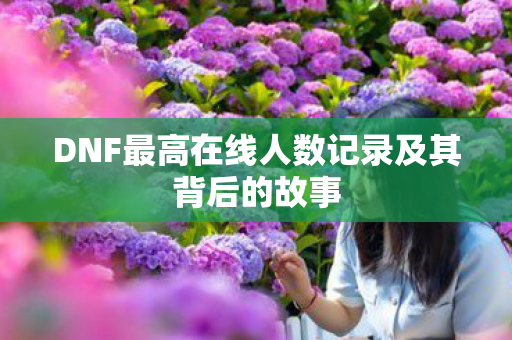 DNF最高在线人数记录及其背后的故事图片