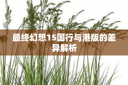 最终幻想15国行与港版的差异解析图片