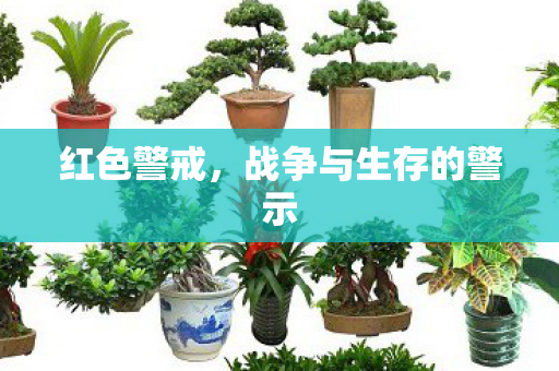 战争与生存的警示图片