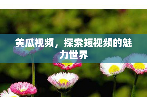 探索短视频的魅力世界图片
