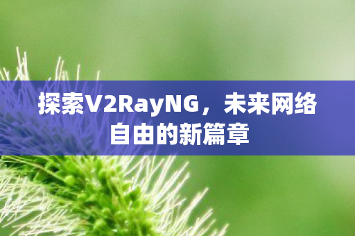 未来网络自由的新篇章图片