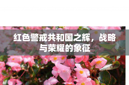 红色警戒共和国之辉图片