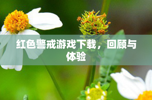 红色警戒游戏下载图片