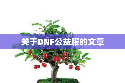 关于DNF公益服的文章图片