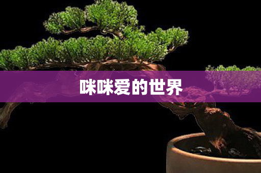 咪咪爱的世界图片