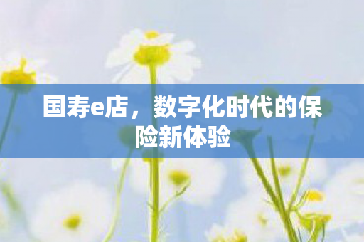 数字化时代的保险新体验图片