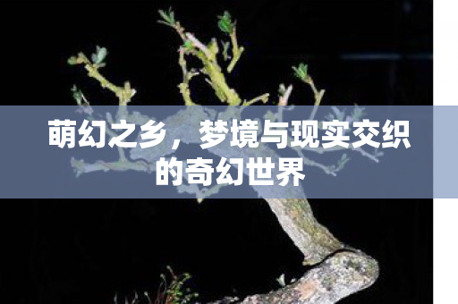 梦境与现实交织的奇幻世界图片