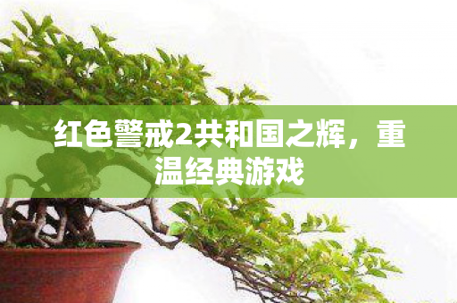 红色警戒2共和国之辉图片