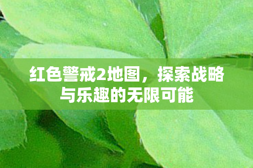 探索战略与乐趣的无限可能图片