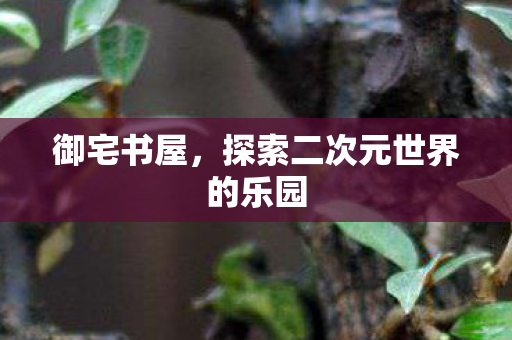 探索二次元世界的乐园图片