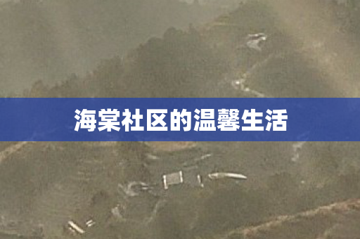 海棠社区的温馨生活图片