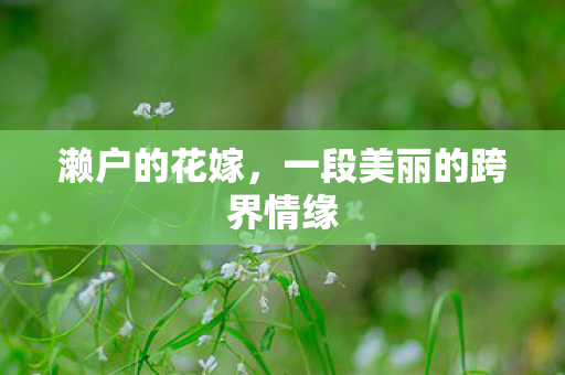 一段美丽的跨界情缘图片