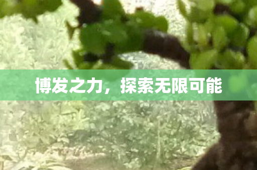探索无限可能图片