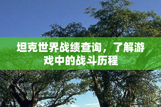 了解游戏中的战斗历程图片