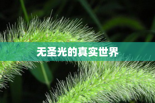 无圣光的真实世界图片