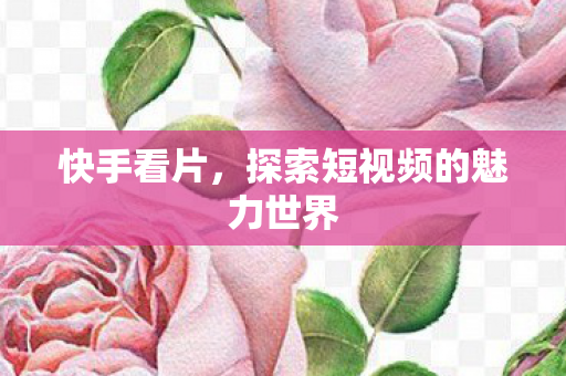 探索短视频的魅力世界图片