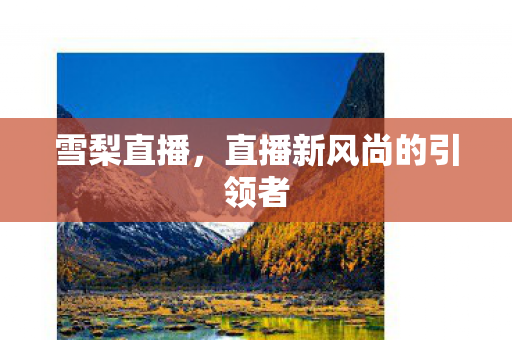 直播新风尚的引领者图片