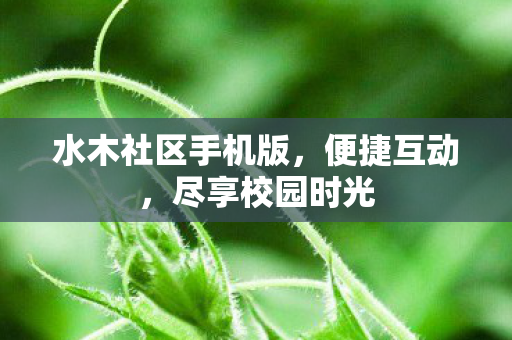 水木社区手机版图片