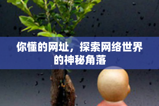 探索网络世界的神秘角落图片