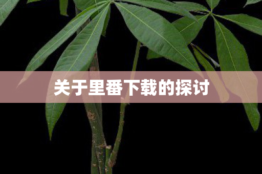关于里番下载的探讨图片