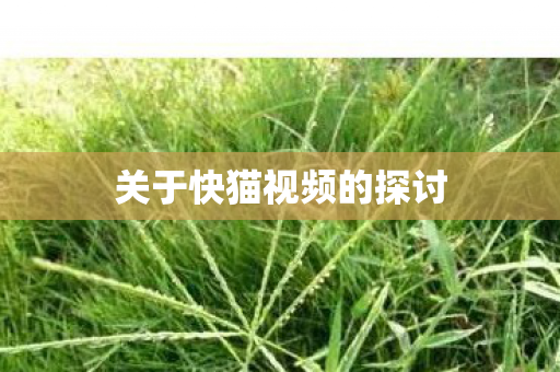关于快猫视频的探讨图片