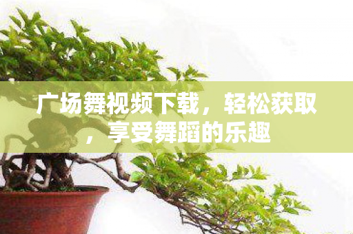 广场舞视频下载图片