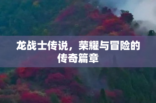 荣耀与冒险的传奇篇章图片