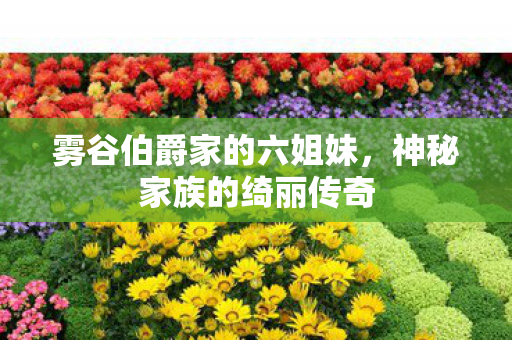 雾谷伯爵家的六姐妹图片