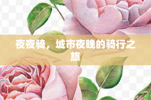 城市夜晚的骑行之旅图片