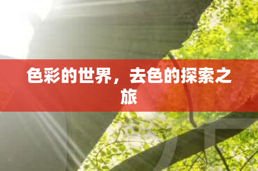 去色的探索之旅图片