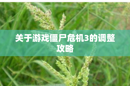 关于游戏僵尸危机3的调整攻略图片