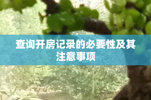 查询开房记录的必要性及其注意事项图片