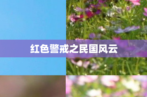 红色警戒之民国风云图片