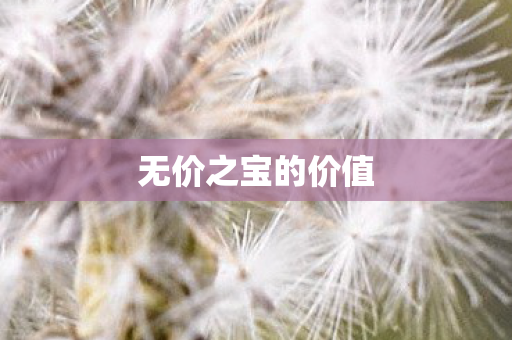 无价之宝的价值图片