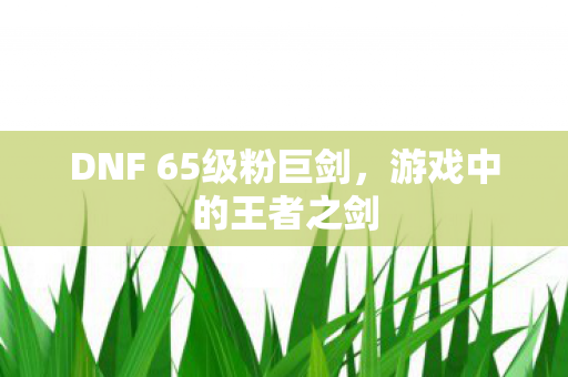 DNF 65级粉巨剑图片