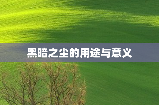 黑暗之尘的用途与意义图片
