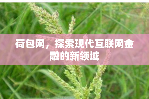 探索现代互联网金融的新领域图片