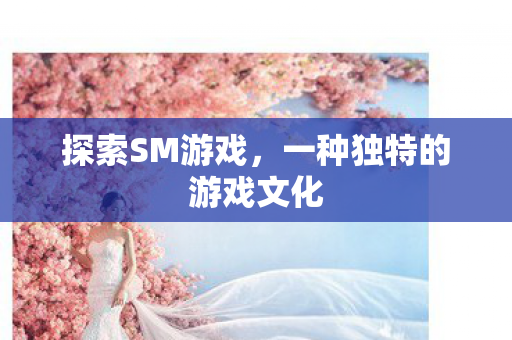 一种独特的游戏文化图片