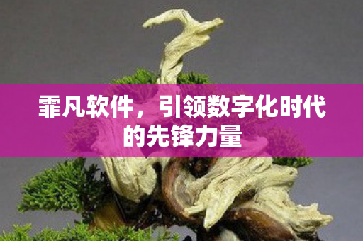 引领数字化时代的先锋力量图片
