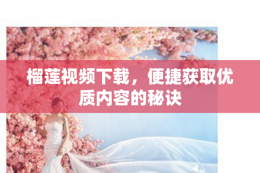 便捷获取优质内容的秘诀图片