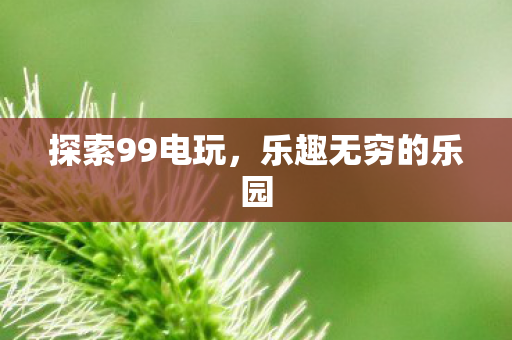 乐趣无穷的乐园图片