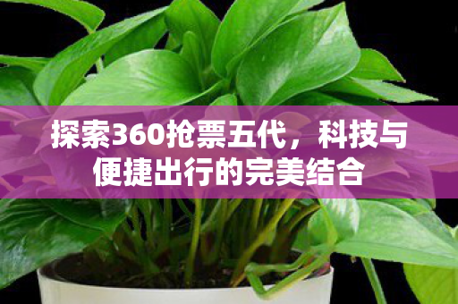 科技与便捷出行的完美结合图片