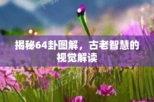 古老智慧的视觉解读图片